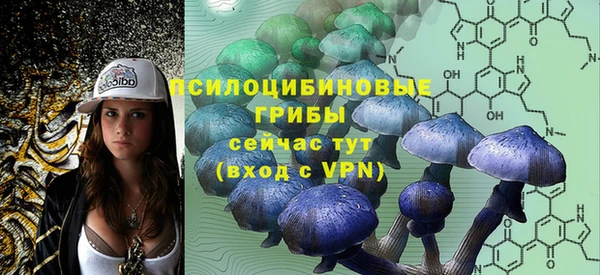 первитин Каменка