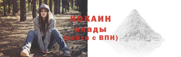 первитин Каменка