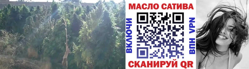 Дистиллят ТГК концентрат  Купить где  Горно-Алтайск 